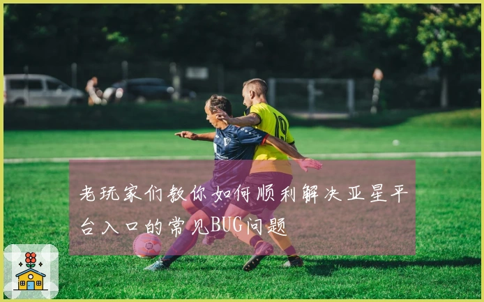 老玩家们教你如何顺利解决亚星平台入口的常见BUG问题