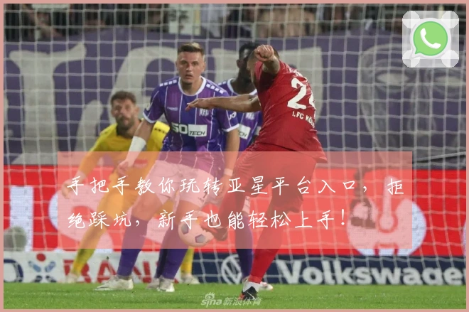 手把手教你玩转亚星平台入口，拒绝踩坑，新手也能轻松上手！